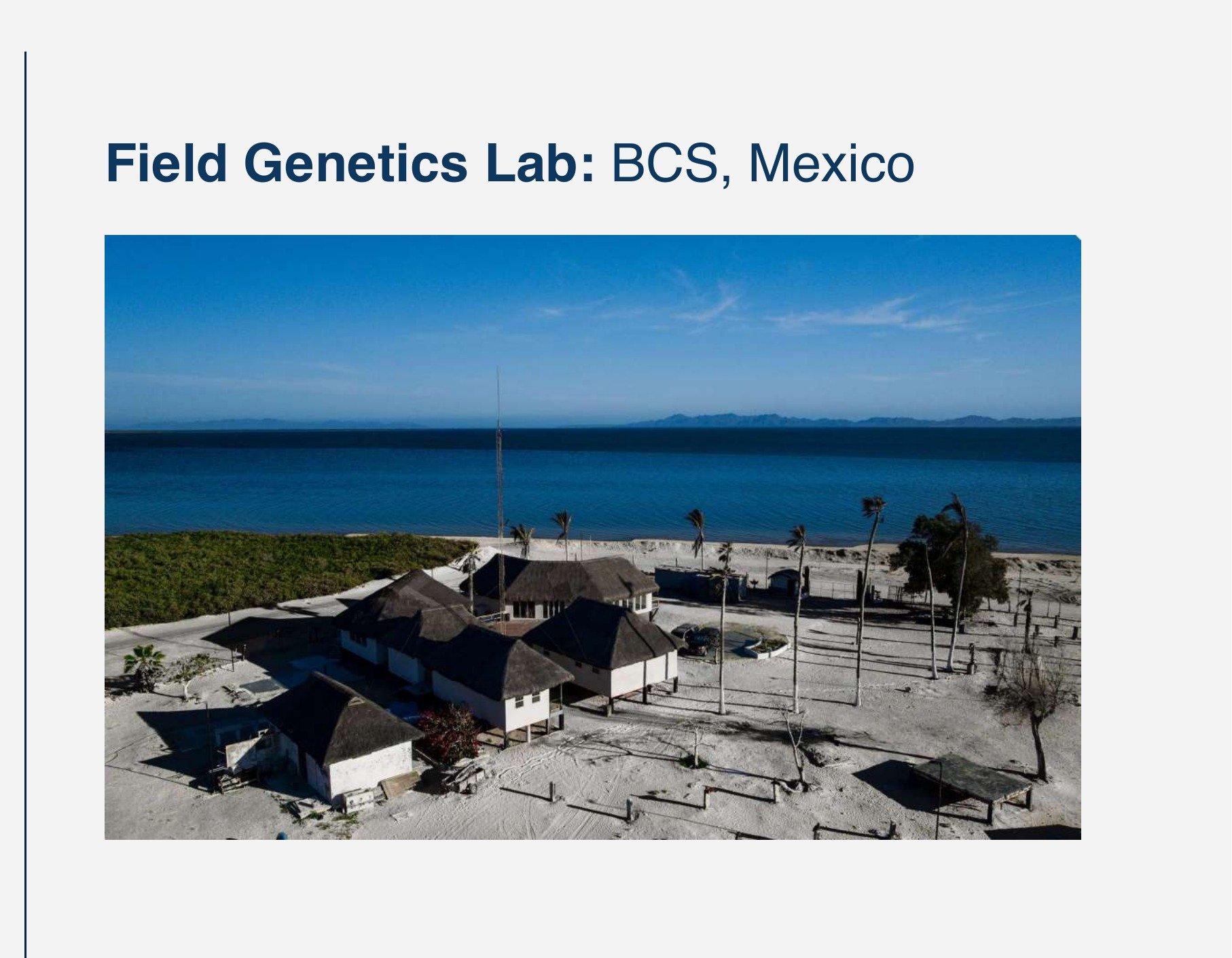 Field Genetics Lab — Baja, Mexico